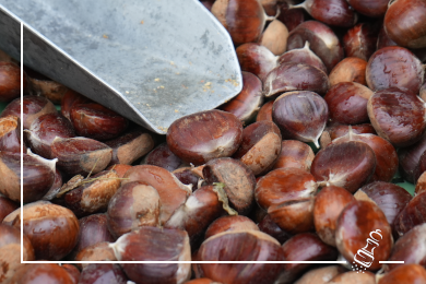 vermicelles hausgemacht