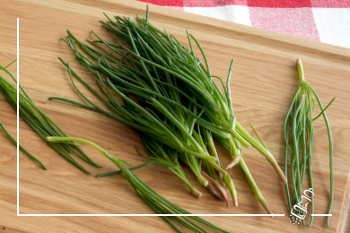 kabeljau auf moenchsbartrisotto