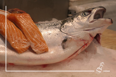 lachs mit nudeln und broccoli