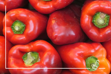 schweinefilet duroc an peperonisauce