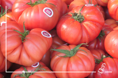monte rosa tomaten mit mozarella