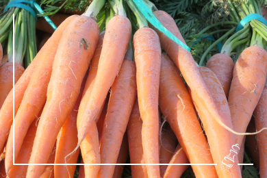 rueebli apfelsalat invernada