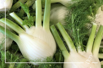 spaghetti an fenchelpesto