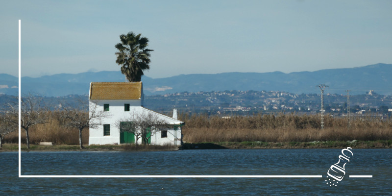 reis das gold aus dem albufera nationalpark
