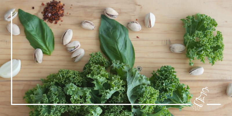 federkohl pistazien pesto