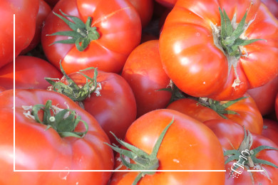 gazpacho fino andaluz