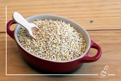 gerstensuppe nach buendner art info